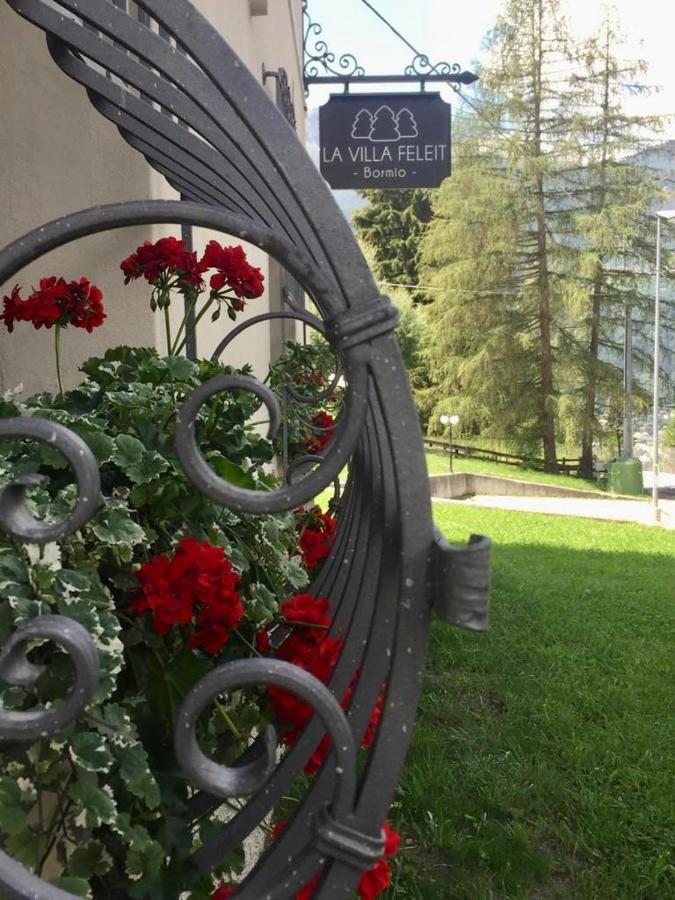 La Feleit Apartamento